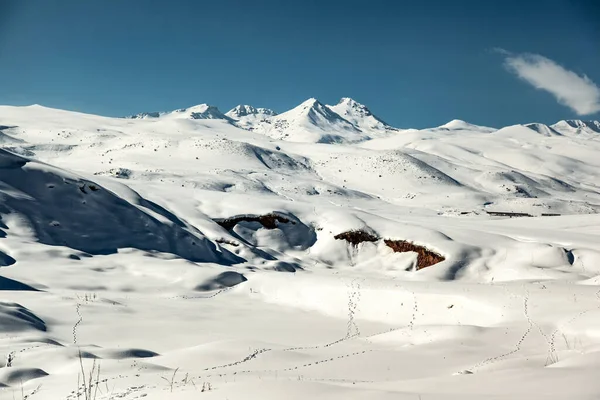 Снежная Гора Арагац Армении Небом — стоковое фото