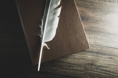 feather on book on the wooden table