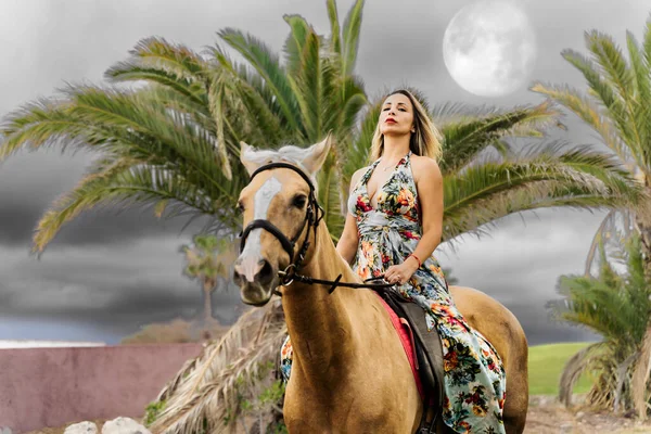 在满月的日子里 这位漂亮的女骑手在路上散步 一个漂亮的年轻女孩骑手和她的棕色马的画像 动物和生活方式概念 — 图库照片