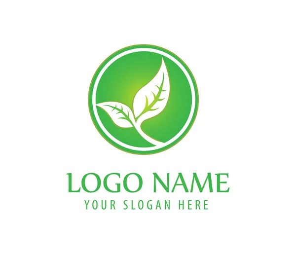 Folha Logotipo Círculo Logotipo Natural Logotipo Saúde Logotipo Criativo — Vetor de Stock