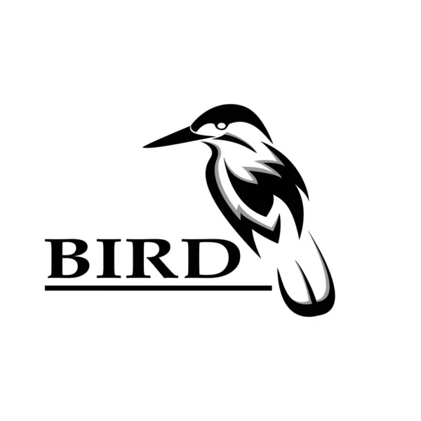 Vogellogo Creatieve Moderne Logo Inspiratie — Stockfoto
