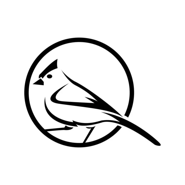 Логотип Птицы Креативный Современный Логотип — стоковое фото