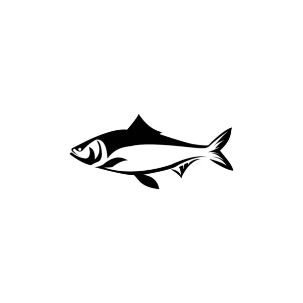 Creative Vector Graphic Illustration Tuna Fish Great Brands Shop Logos — Stock Photo, Image