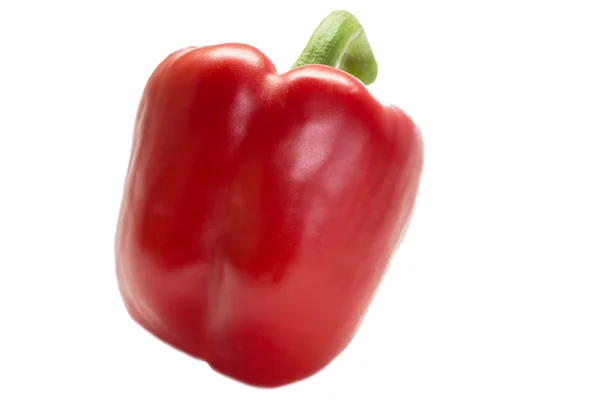 Peper on an isolated background — Stock Photo, Image