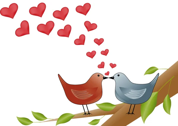 Φιλιά πουλιά — Διανυσματικό Αρχείο