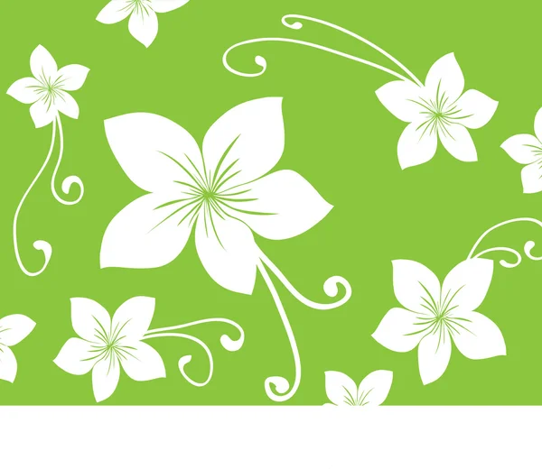 White eco flowers on green background — Stock Vector