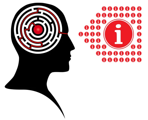 Kreis-Labyrinth als Gehirn im Kopf eines Menschen — Stockvektor