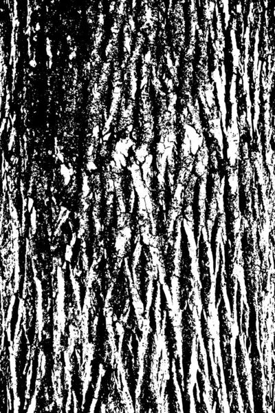 Szczegóły kory drzewa — Wektor stockowy