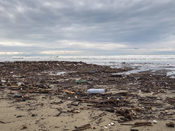 Dirty beach - pollution along the beach — Stock Photo, Image