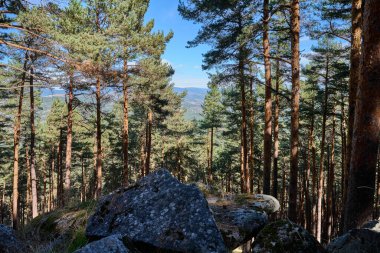 Baharda yeşil tepelerin üzerindeki bulutlu gökyüzü