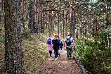 Bir grup yürüyüşçü baharda ormanda yürüyor.