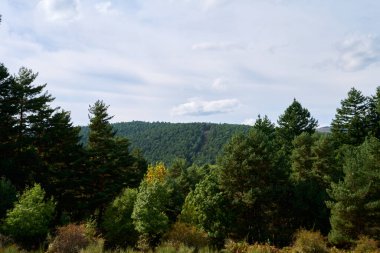 Baharda yeşil tepelerin üzerindeki bulutlu gökyüzü