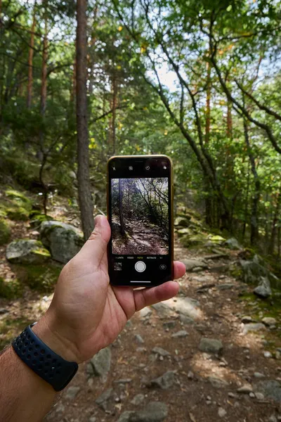 Akıllı telefonu tutan ve yeşil ormandaki izleri çeken bir el.