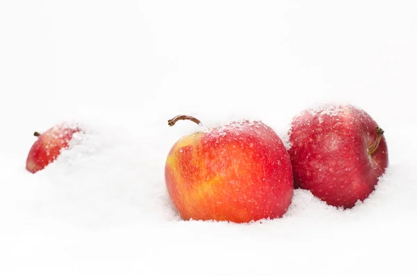 Apples in the snow — Stock Photo, Image