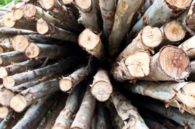 Yakacak odun yığını