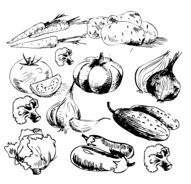 Healthy food. Sketch style