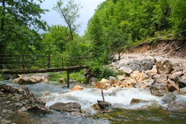 dağ nehir üzerinde küçük ahşap köprü