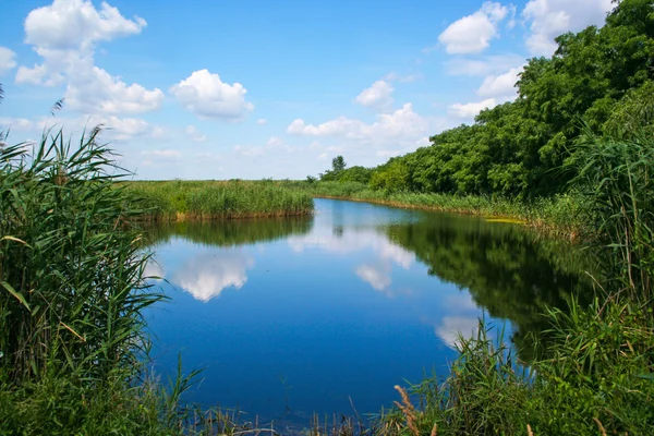 Peaceful pond with reed and clear blue water surface, and sky with clouds — Stock Photo, Image