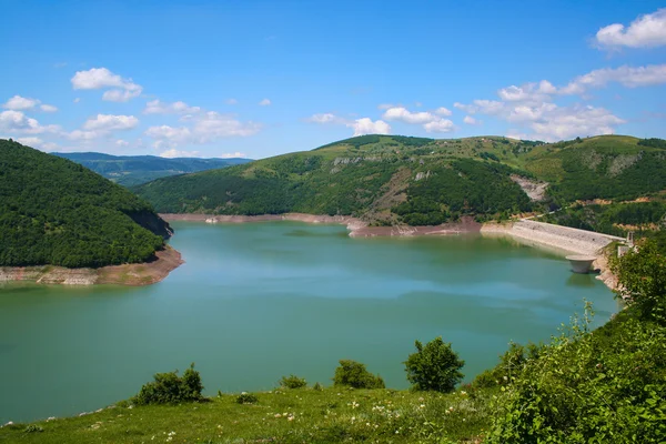 kıvrımlı dağlara Nehri ile güzel gorge-Sırbistan