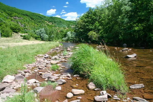 Dağlardaki küçük dere