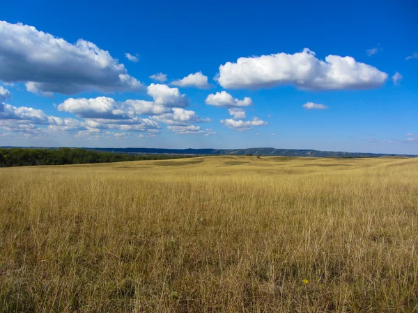 Wiejski krajobraz z żółtym suchej trawy i piękne niebo z chmurami — Zdjęcie stockowe