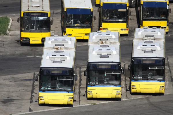 Ônibus públicos no estacionamento — Fotografia de Stock