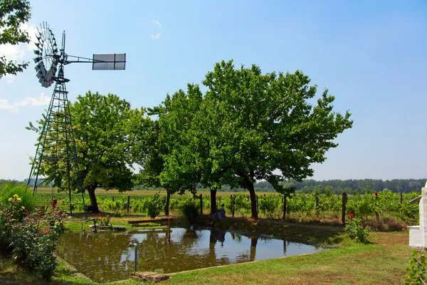 Windrad auf kleinem Teich zur Wasserbewässerung lizenzfreie Stockfotos