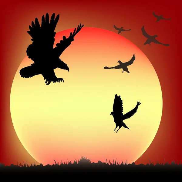Günbatımı, kuşlar — Stok Vektör