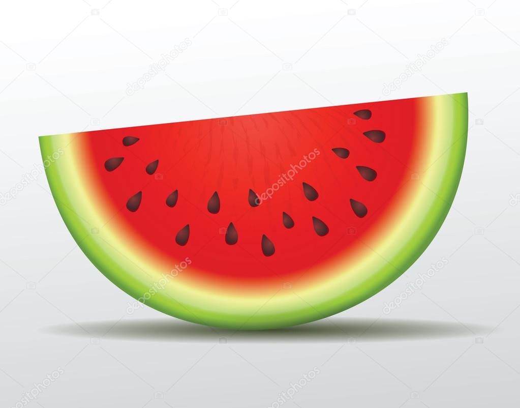 Vector watermelon slice. Isolated