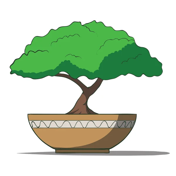 Vector ilustración del árbol de los bonsais colorido aislado sobre fondo blanco — Stockvector