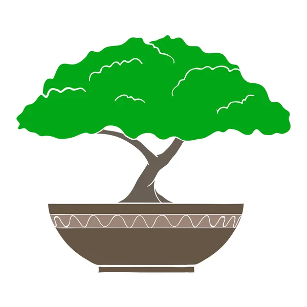 Vektor Illustration von bunten Bonsai-Baum isoliert auf weißem Hintergrund — Stockvektor
