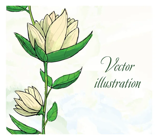 Modelo de design floral. Aquarela mão flor desenhada. Ilustração vetorial — Vetor de Stock