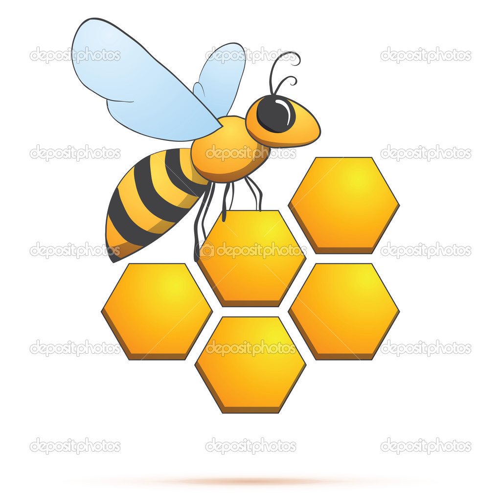 Bee on honeycells. Vector illustration