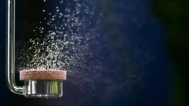 Suyun altındaki baloncukların yavaş hareketi, tatlı su akvaryumu. Suyun altında oksijen dağıtıcı bir sürü küçük kabarcık pompalıyor. Tatlı su akvaryumundaki CO2 reaktörü kabarcık yapar. Rahatlama ve meditasyon sahnesi