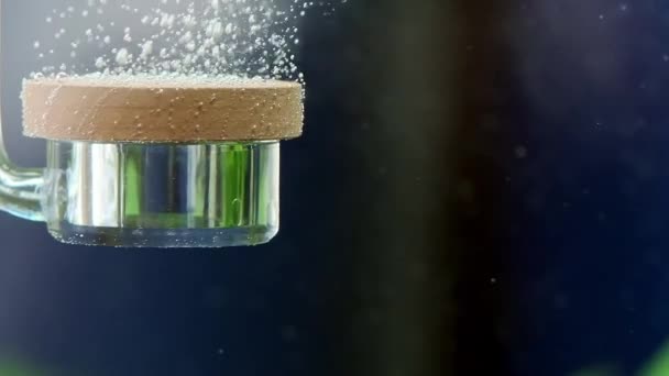 Slow Motion Bubbles Water Freshwater Aquarium Oxygen Diffuser Water Pumping — Stock Video