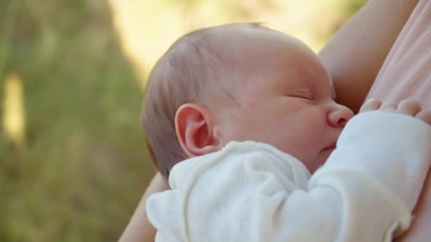 Glückliche Mutter Hält Ein Baby Arm Draußen Nettes Kind Schläft — Stockvideo