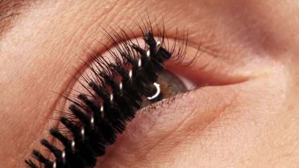 慢动作 用化妆品刷在睫毛上涂上黑色睫毛膏 在美容院里化妆一个女人的眼睛的特写层压后睫毛充盈 — 图库视频影像