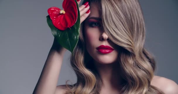 Σέξι Ξανθιά Γυναίκα Κόκκινα Χείλη Κρατά Ένα Κόκκινο Λουλούδι Μοντέλα — Αρχείο Βίντεο