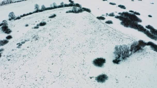 Filmati Cinematografici Drone Vola Sopra Bellissimo Paesaggio Pianeggiante Innevato Vista — Video Stock