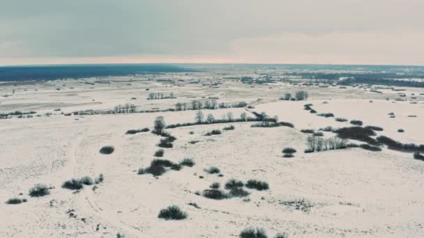 Drone Survole Beau Paysage Plat Enneigé Vue Aérienne Vallée Enneigée — Video