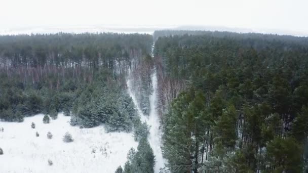 Cinematische Uitstraling Van Een Winterlandschap Met Een Bos Luchtfoto Van — Stockvideo