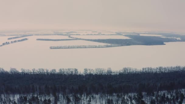 Filmiskt Utseende Ett Vinterlandskap Med Ett Snöigt Jordbruksfält Flygfoto Över — Stockvideo