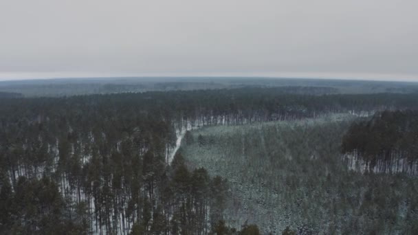 Aspetto Drammatico Paesaggio Invernale Con Una Foresta Vista Aerea Della — Video Stock