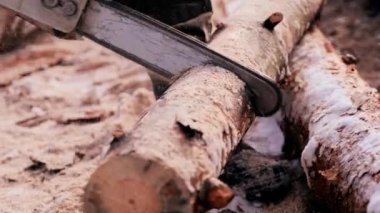 Testereli adam. Ağacın kütüğünde uçan talaş kesen bir adam. Tahtayı elektrikli testereyle kesiyor. Elektrikli testereyi kapat ve uçan talaşla gerçek zamanlı bir kütük kes.