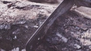 Ağacın kütüğünde uçan talaş kesen bir adam. Tahtayı elektrikli testereyle kesiyor. Elektrikli testereyi kapat ve uçan talaşla gerçek zamanlı bir kütük kes.