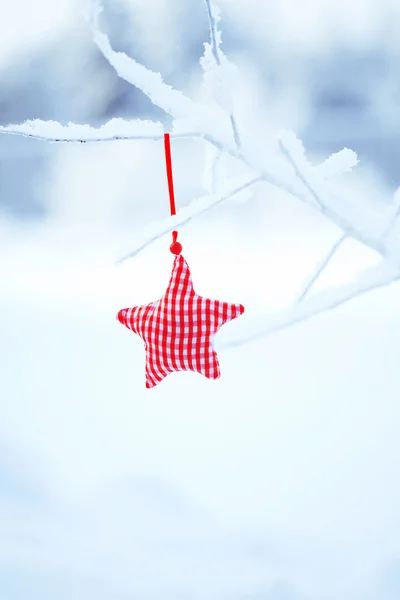 Christmas decoration: red fabric star on white branch on snowy background — Stock Photo, Image