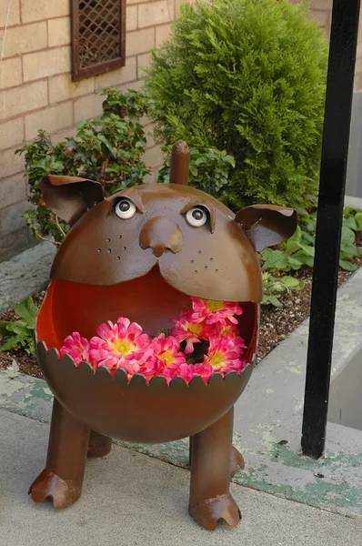 Kwiaty w wazonie jamy ustnej psa — Zdjęcie stockowe