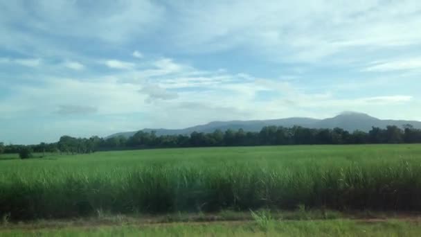 Cielo luminoso Scenario mattutino dal finestrino di un treno nel Queensland Australia — Video Stock