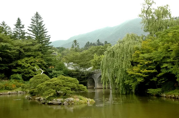 Jardin zen japonais paisible — Photo