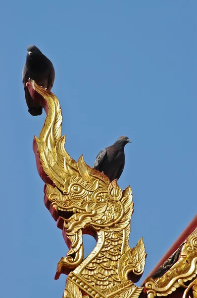 Aves en la parte superior de Naga dragón estatua de oro en el norte de Tailandia templo — Foto de Stock